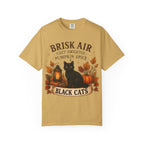 Brisk Air Pumpkin Spice Black Cats T-Shirt