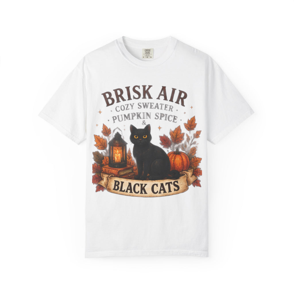 Brisk Air Pumpkin Spice Black Cats T-Shirt
