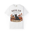 Brisk Air Pumpkin Spice Black Cats T-Shirt