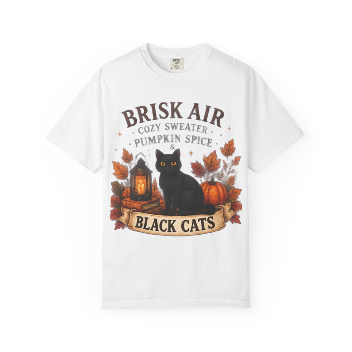 Brisk Air Pumpkin Spice Black Cats T-Shirt