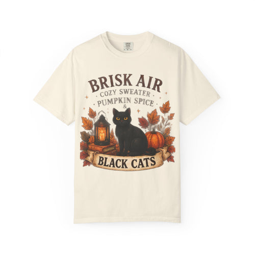 Brisk Air Pumpkin Spice Black Cats T-Shirt