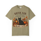 Brisk Air Pumpkin Spice Black Cats T-Shirt