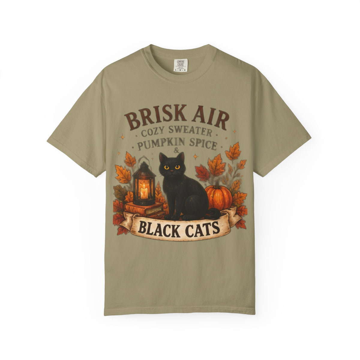 Brisk Air Pumpkin Spice Black Cats T-Shirt
