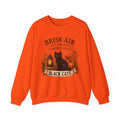 Autumn Black Cat Sweatshirt — "Brisk Air Cozy Sweater Pumpkin Spice" Fall Crewneck