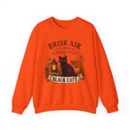 Autumn Black Cat Sweatshirt — "Brisk Air Cozy Sweater Pumpkin Spice" Fall Crewneck