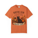 Brisk Air Pumpkin Spice Black Cats T-Shirt