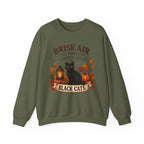 Autumn Black Cat Sweatshirt — "Brisk Air Cozy Sweater Pumpkin Spice" Fall Crewneck