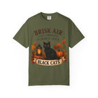 Brisk Air Pumpkin Spice Black Cats T-Shirt