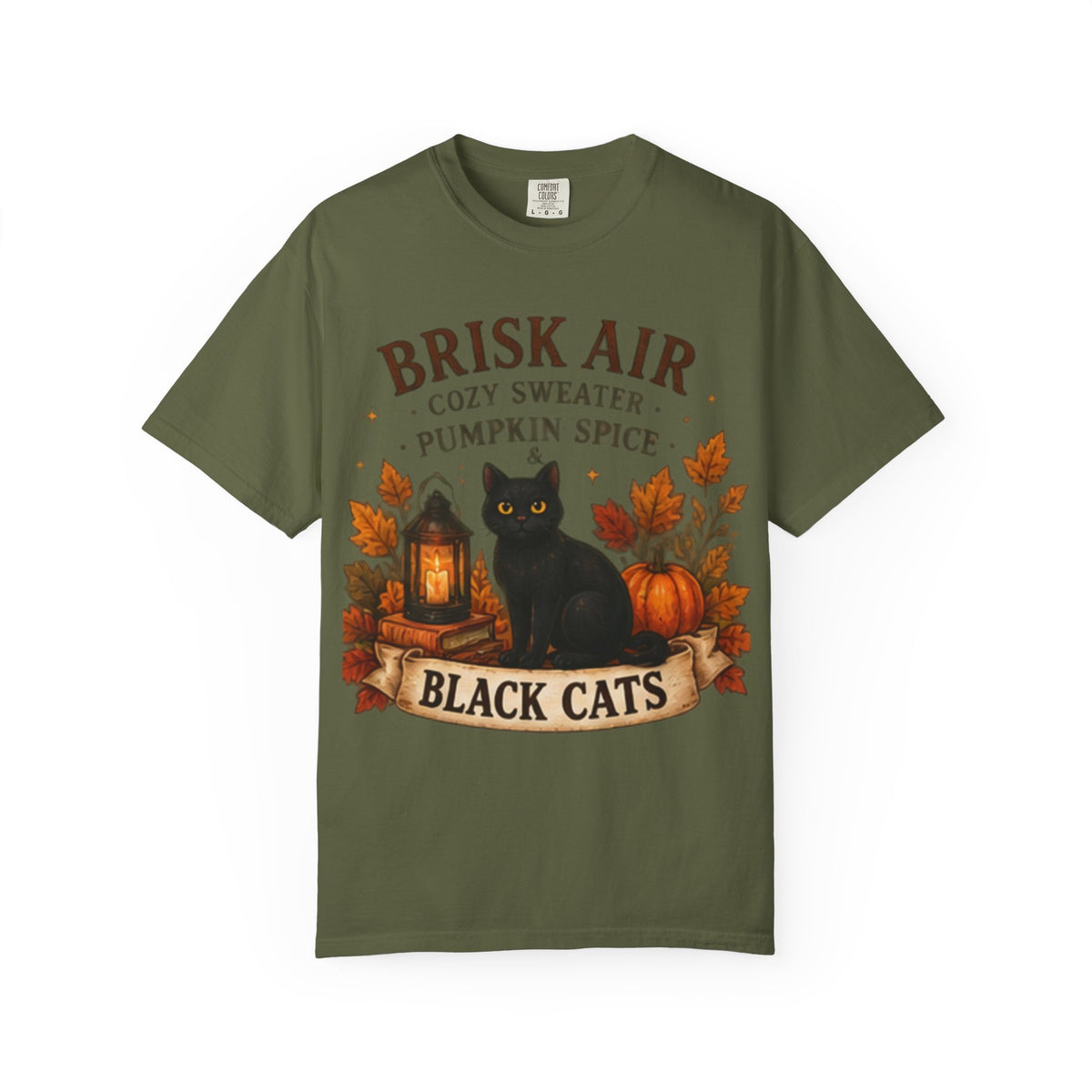 Brisk Air Pumpkin Spice Black Cats T-Shirt