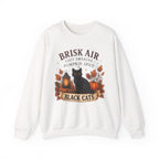 Autumn Black Cat Sweatshirt — "Brisk Air Cozy Sweater Pumpkin Spice" Fall Crewneck