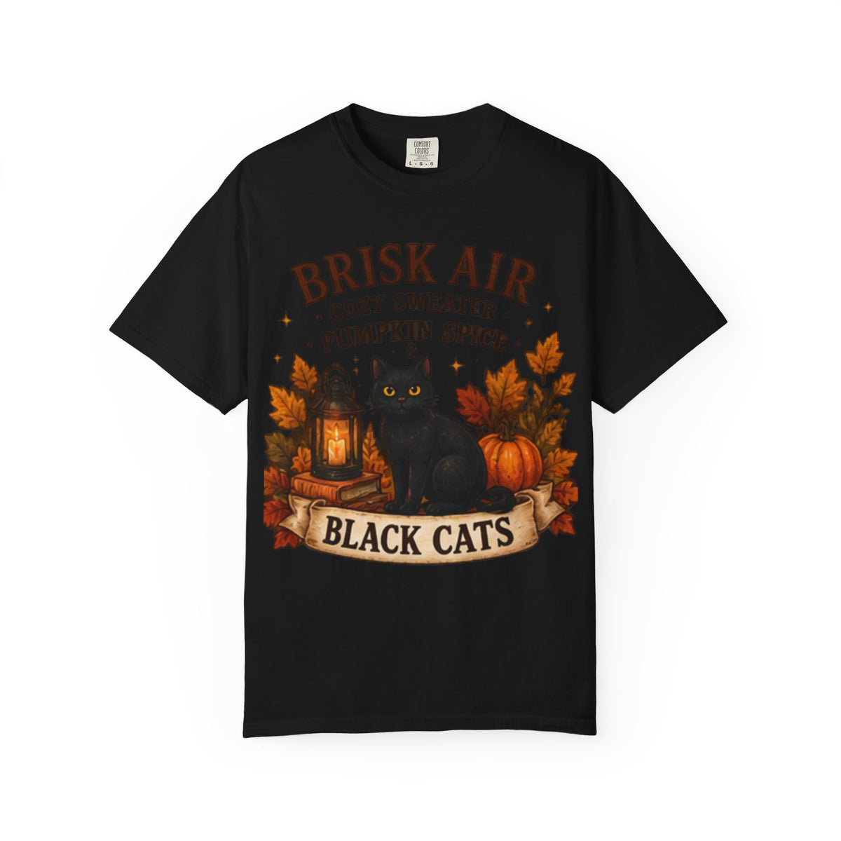 Brisk Air Pumpkin Spice Black Cats T-Shirt